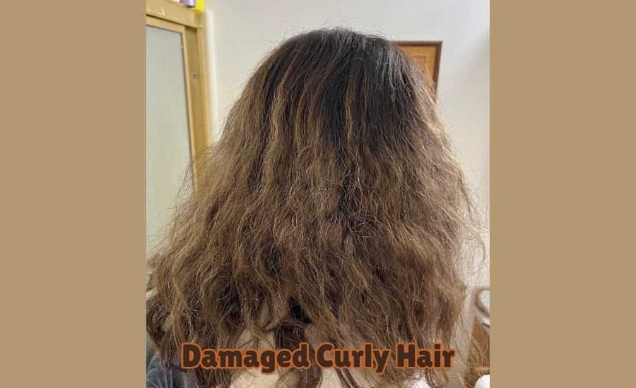 damaged curly hair