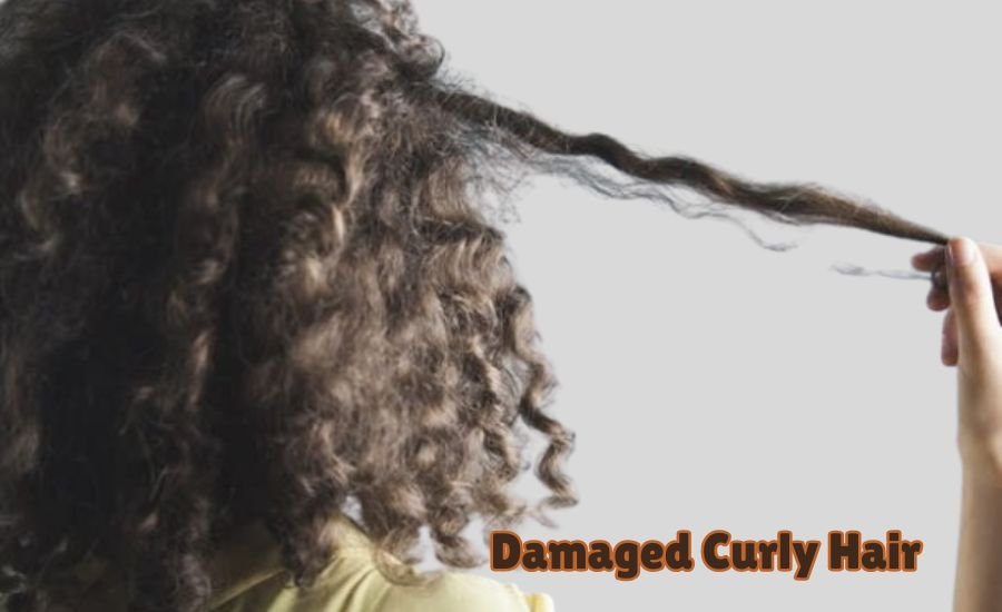 damaged curly hair