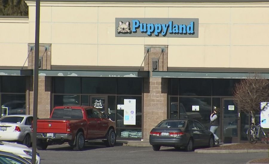puppyland