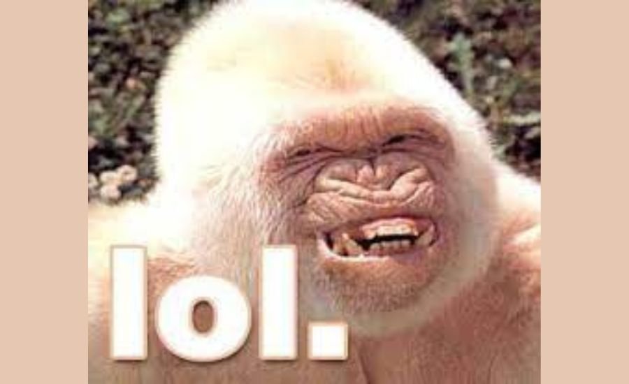 lòl