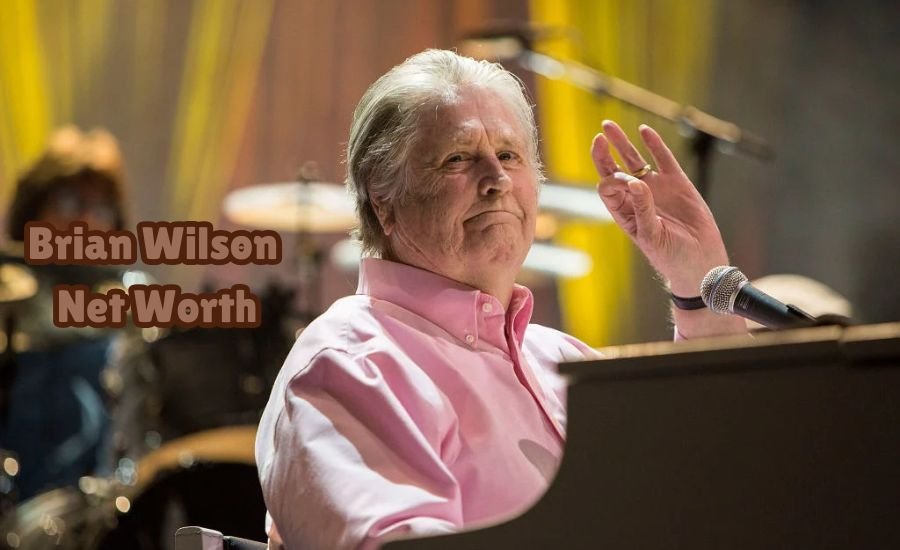 brian wilson net worth