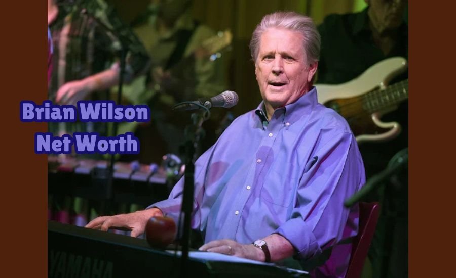 brian wilson net worth
