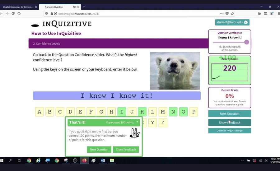norton inquizitive answers