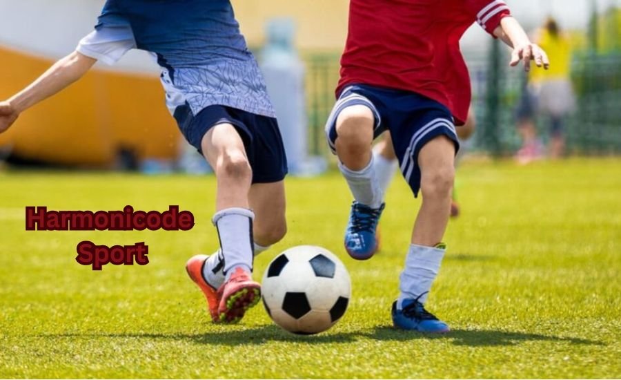 sports harmonicode