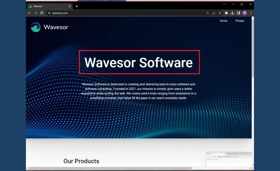 wavesor software